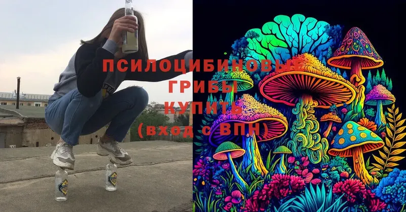 Галлюциногенные грибы Psilocybe  Мураши 